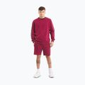 Bluza męska Pitbull Tape Nugget Crewneck Sweatshirt burgundy 2
