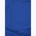 Bluza męska Pitbull Tape Nugget Hooded Sweatshirt electric blue 11