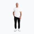 Spodnie męskie Pitbull Tape Nugget Jogging black 2