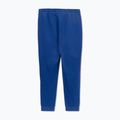 Spodnie męskie Pitbull Tape Nugget Jogging electric blue 5