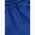 Spodnie męskie Pitbull Tape Nugget Jogging electric blue 6