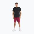 Spodenki męskie Pitbull Tape Nugget burgundy 2