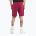 Spodenki męskie Pitbull Tape Nugget burgundy 3