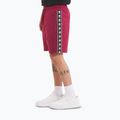Spodenki męskie Pitbull Tape Nugget burgundy 4