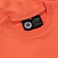 Bluza męska Pitbull Dog Sd Crewneck Sweatshirt bright salmon 3