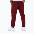 Spodnie męskie Pitbull Nugget Jogging burgundy 2