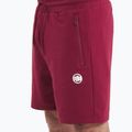 Spodenki męskie Pitbull Nugget burgundy 4
