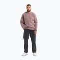 Bluza męska Pitbull Lancaster 2 Crewneck Sweatshirt washed burgundy 2