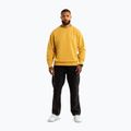 Bluza męska Pitbull Lancaster 2 Crewneck Sweatshirt washed yellow 2