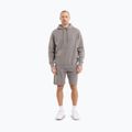 Bluza męska Pitbull Lancaster 2 Hooded Sweatshirt washed grey 2