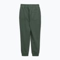 Spodnie męskie Pitbull Lancaster 2 Track Pants sage green 5