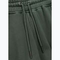 Spodnie męskie Pitbull Lancaster 2 Track Pants sage green 6