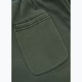 Spodnie męskie Pitbull Lancaster 2 Track Pants sage green 9