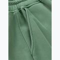 Spodnie męskie Pitbull Lancaster 2 Track Pants washed green 7