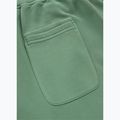 Spodnie męskie Pitbull Lancaster 2 Track Pants washed green 8