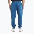 Spodnie męskie Pitbull Lancaster 2 Track Pants shade blue 4