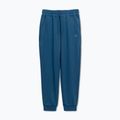 Spodnie męskie Pitbull Lancaster 2 Track Pants shade blue 7