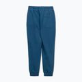 Spodnie męskie Pitbull Lancaster 2 Track Pants shade blue 8