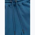 Spodnie męskie Pitbull Lancaster 2 Track Pants shade blue 9