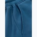 Spodnie męskie Pitbull Lancaster 2 Track Pants shade blue 11