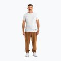 Spodnie męskie Pitbull Lancaster 2 Track Pants honey yellow 2