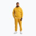 Spodnie męskie Pitbull Lancaster 2 Track Pants washed yellow 2