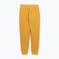Spodnie męskie Pitbull Lancaster 2 Track Pants washed yellow 7