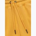 Spodnie męskie Pitbull Lancaster 2 Track Pants washed yellow 8