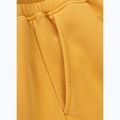 Spodnie męskie Pitbull Lancaster 2 Track Pants washed yellow 10