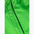 Szorty kąpielowe męskie Pitbull Crownhill fluo green 6
