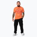 Koszulka męska Pitbull San Diego Ins. fluo orange 2