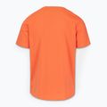 Koszulka męska Pitbull San Diego Ins. fluo orange 5