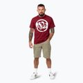 Koszulka męska Pitbull Logo Palms burgundy 2