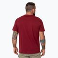 Koszulka męska Pitbull Logo Palms burgundy 3