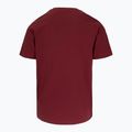 Koszulka męska Pitbull Logo Palms burgundy 5