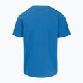 Koszulka męska Pitbull Logo Palms shade blue 5