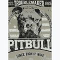 Koszulka męska Pitbull Troublemarker dusty salvia 5