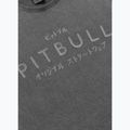 Koszulka męska Pitbull Mt. Fuji washed grey 4