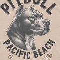 Koszulka męska Pitbull Pacyfic ultra light sand 8