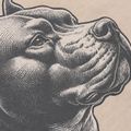 Koszulka męska Pitbull Pacyfic ultra light sand 9