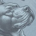 Koszulka męska Pitbull Pacyfic blue 6