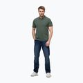 Koszulka polo męska Pitbull Washed Polo sage green 2