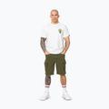 Koszulka męska Pitbull BJJ FIGHT DVSN white 2
