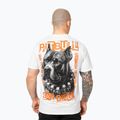 Koszulka męska Pitbull Blacky white 3