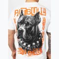 Koszulka męska Pitbull Blacky white 4