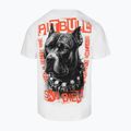 Koszulka męska Pitbull Blacky white 6
