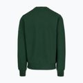 Bluza męska Pitbull Norton Crewneck green 5