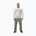 Bluza męska Pitbull So Cal Crewneck grey/melange 2