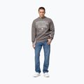 Bluza męska Pitbull So Cal Crewneck taupe 2