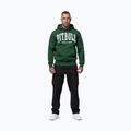 Bluza męska Pitbull Norton Hooded hunter green 2